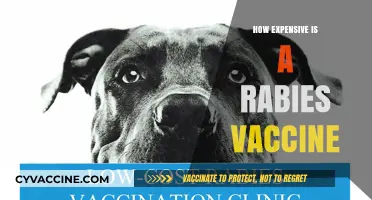 Rabies Vaccine Cost: What to Expect and How to Save