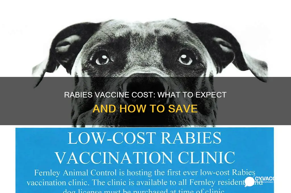 how expensive is a rabies vaccine