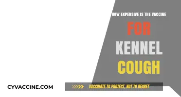 Kennel Cough Vaccine Cost: What Pet Owners Need to Know