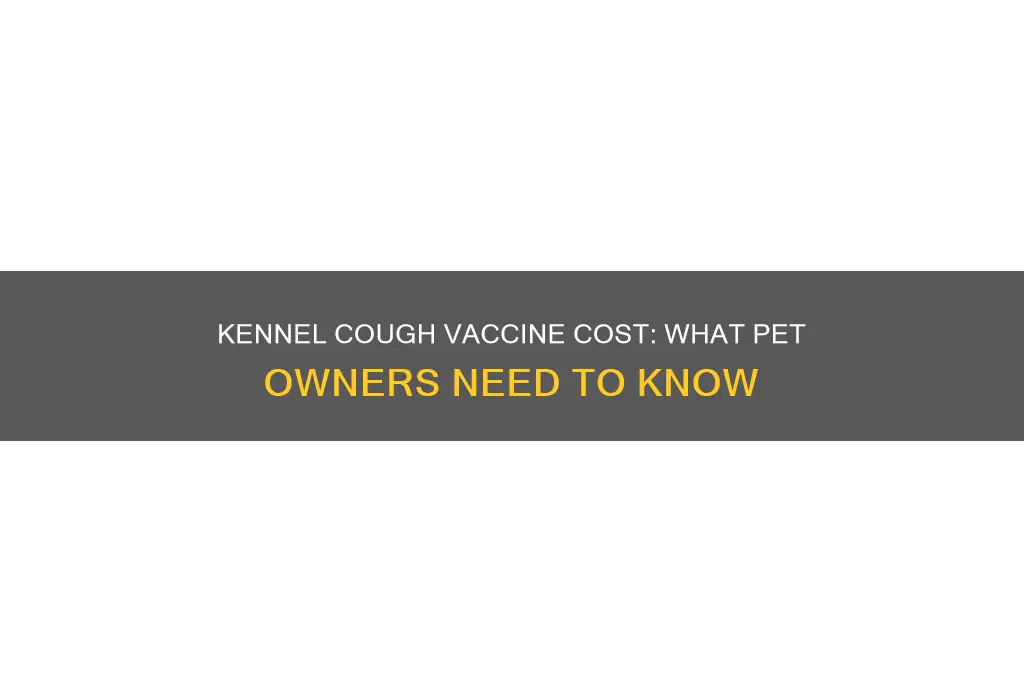 how expensive is the vaccine for kennel cough