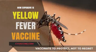 Yellow Fever Vaccine Cost: What to Expect and How to Save