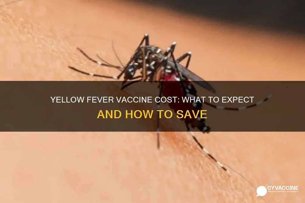 how expensive is yellow fever vaccine