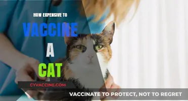 Cat Vaccination Costs: Budgeting for Your Feline's Health and Safety