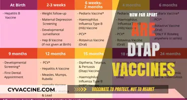 DTaP Vaccine Schedule: Understanding the Optimal Timing Between Doses