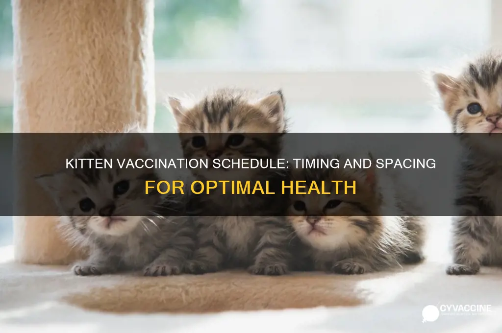 how far apart are kitten vaccinations