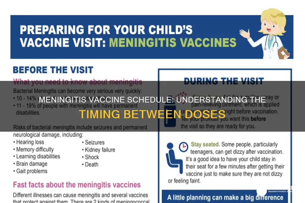 how far apart are meningitis vaccines