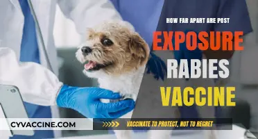 Post-Exposure Rabies Vaccine: Understanding the Timing and Dosage Schedule