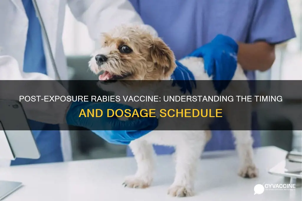 how far apart are post exposure rabies vaccine