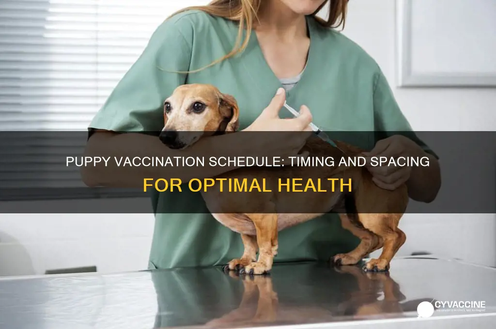 how far apart are puppy vaccinations