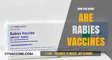 Understanding the Optimal Timing Between Rabies Vaccine Doses