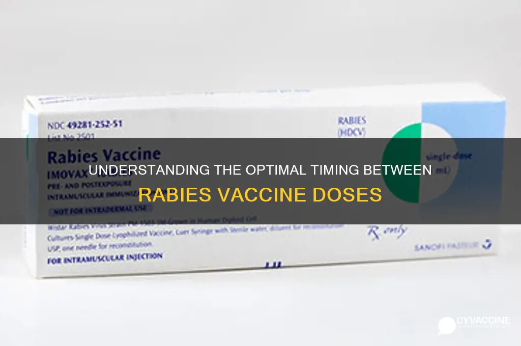how far apart are rabies vaccines