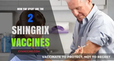 Shingrix Vaccine Schedule: Understanding the Timing Between Doses