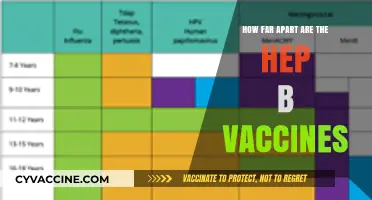 Hepatitis B Vaccine Schedule: Timing and Spacing Explained
