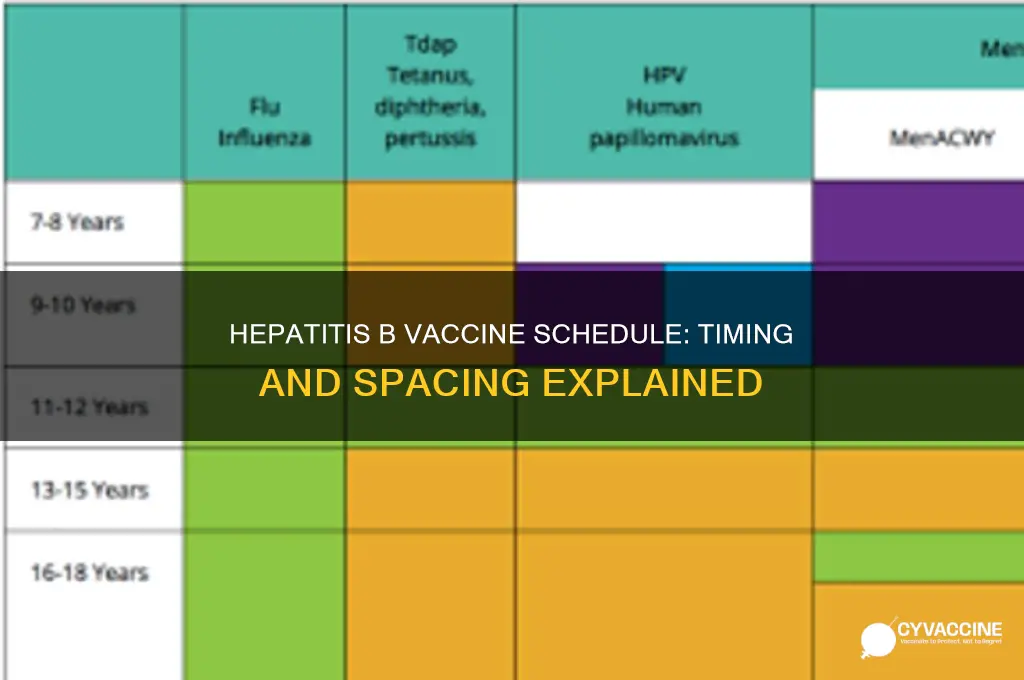 how far apart are the hep b vaccines