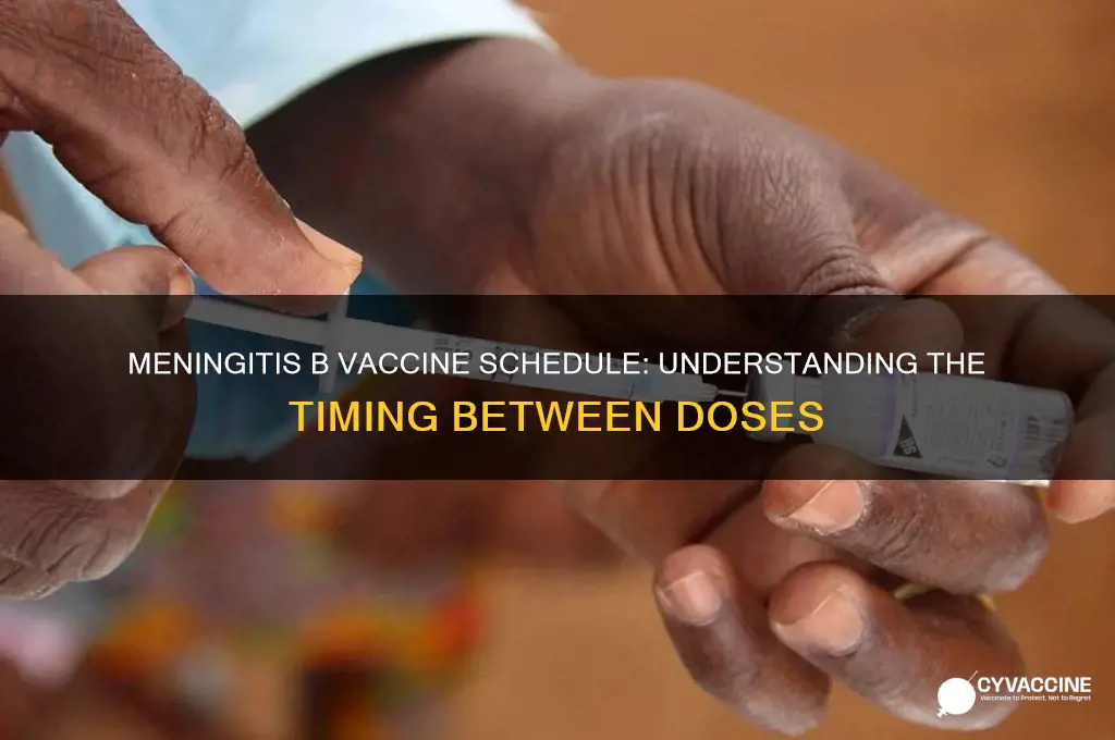 how far apart are the meningitis b vaccines