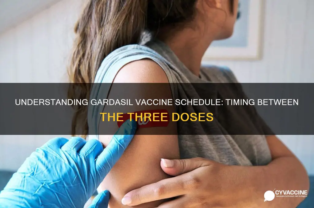 how far apart are the three gardasil vaccine