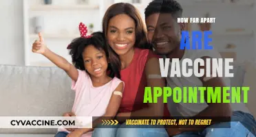 Optimal Vaccine Appointment Spacing: Timing Your Doses for Maximum Immunity