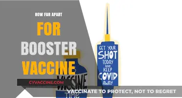 Optimal Booster Vaccine Timing: How Far Apart Should Doses Be?