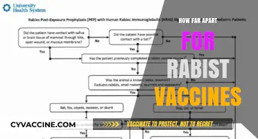 Optimal Rabies Vaccine Spacing: Timing and Frequency Explained