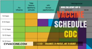 CDC-Recommended Hepatitis B Vaccine Schedule: Timing and Spacing Explained