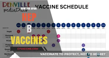 Hepatitis B Vaccine Schedule: Optimal Timing and Dosing Intervals