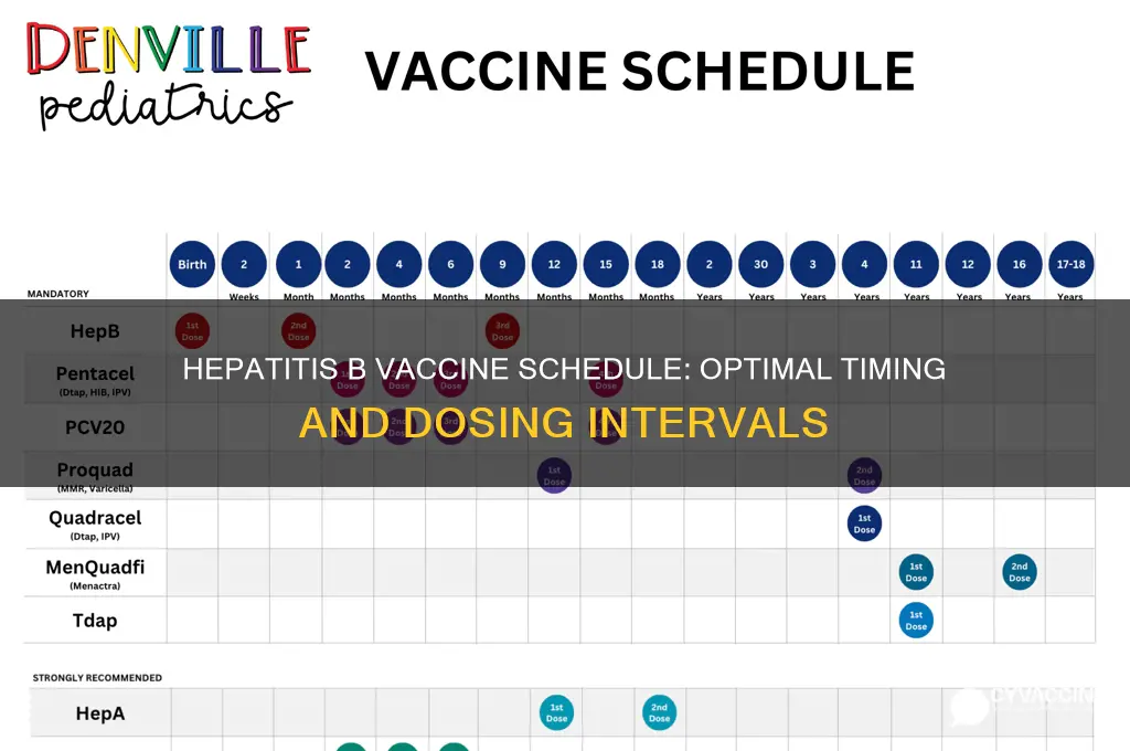 how far apart hep b vaccines
