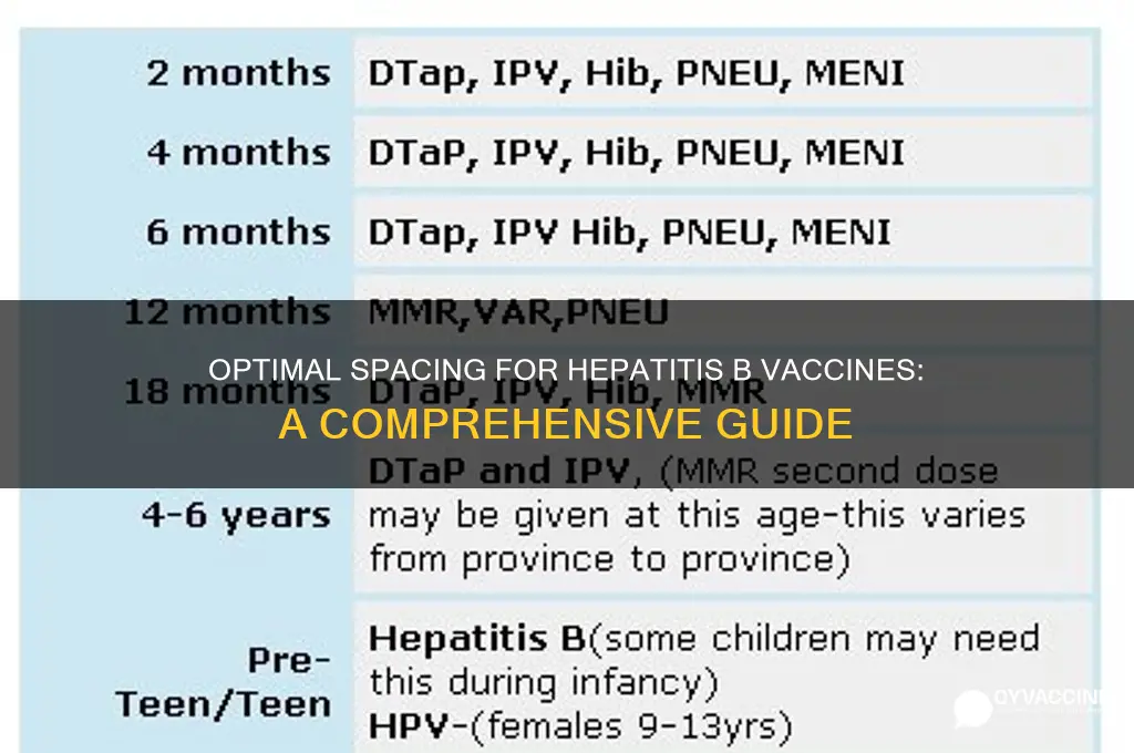 how far apart should i space my hepatitis b vaccines