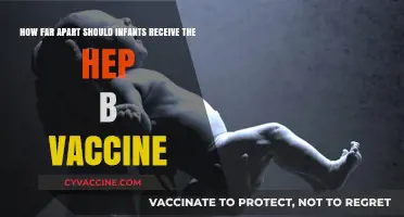 Hepatitis B Vaccine Schedule: Optimal Timing for Infants Explained