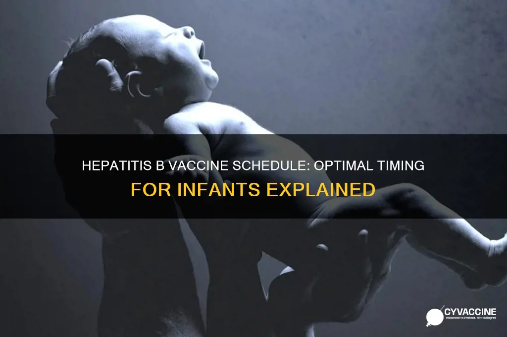 how far apart should infants receive the hep b vaccine