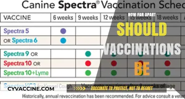 Optimal Vaccine Spacing: Timing Your Immunizations for Maximum Protection