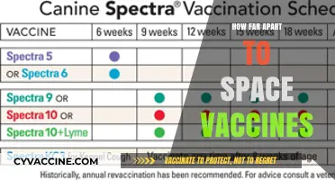 Optimal Vaccine Spacing: Timing for Maximum Immunity and Safety