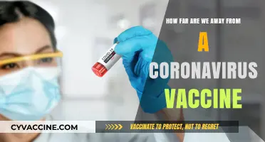 Coronavirus Vaccine Progress: How Close Are We to a Solution?