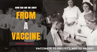 The Vaccine Timeline: How Close Are We to a Breakthrough?