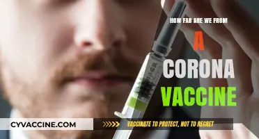 Corona Vaccine Progress: How Close Are We to a Solution?
