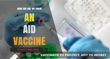Advancing AIDS Vaccine Research: Progress, Challenges, and Future Prospects