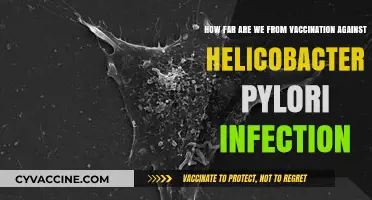 Advancing Towards a Helicobacter Pylori Vaccine: Current Progress and Challenges