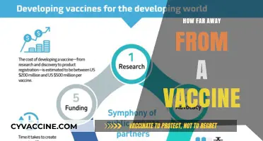 Vaccine Progress: How Close Are We to a Global Solution?