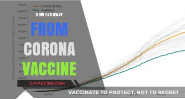 Progress and Timeline: How Close Are We to a Corona Vaccine?