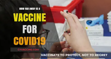 COVID-19 Vaccine Progress: How Close Are We to a Solution?