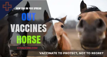Optimal Vaccine Spacing for Horses: Timing and Frequency Explained