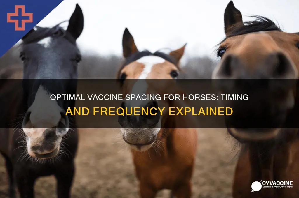 how far do you spread out vaccines horse