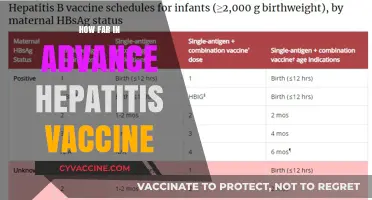 Hepatitis Vaccine Timing: How Far in Advance Should You Plan?