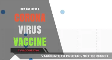 When Can We Expect a COVID-19 Vaccine? Latest Updates and Timeline