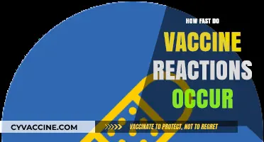 Understanding Vaccine Reactions: Timing, Symptoms, and What to Expect