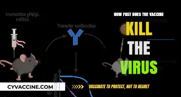 Vaccine Speed: How Quickly Does It Neutralize the Virus?