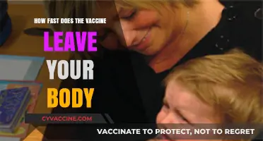 How Quickly Does the Vaccine Exit Your System?