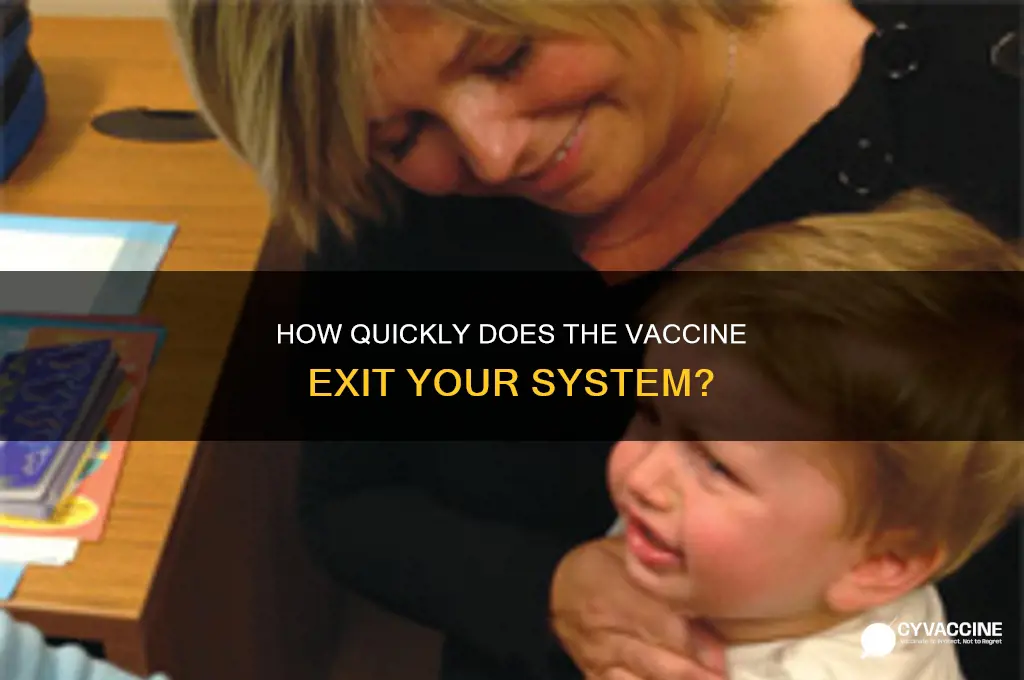 how fast does the vaccine leave your body