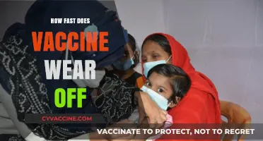 How Quickly Do Vaccines Lose Effectiveness Over Time?
