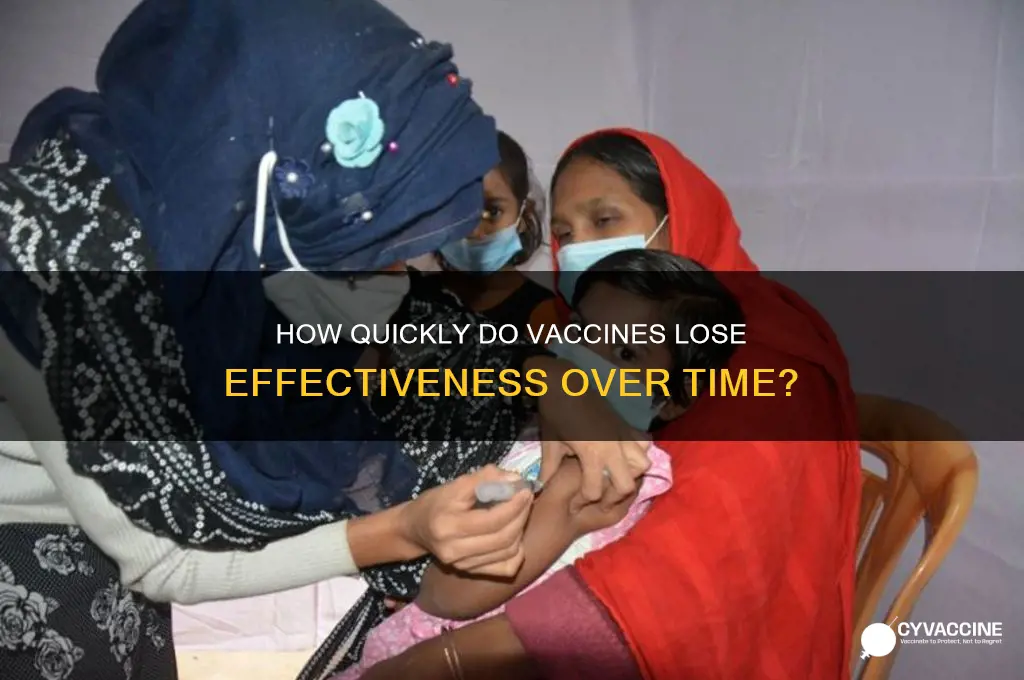 how fast does vaccine wear off