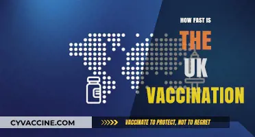 UK Vaccination Speed: How Fast Are We Rolling Out Doses?